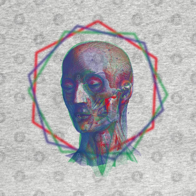 Anatomy RGB by RAdesigns